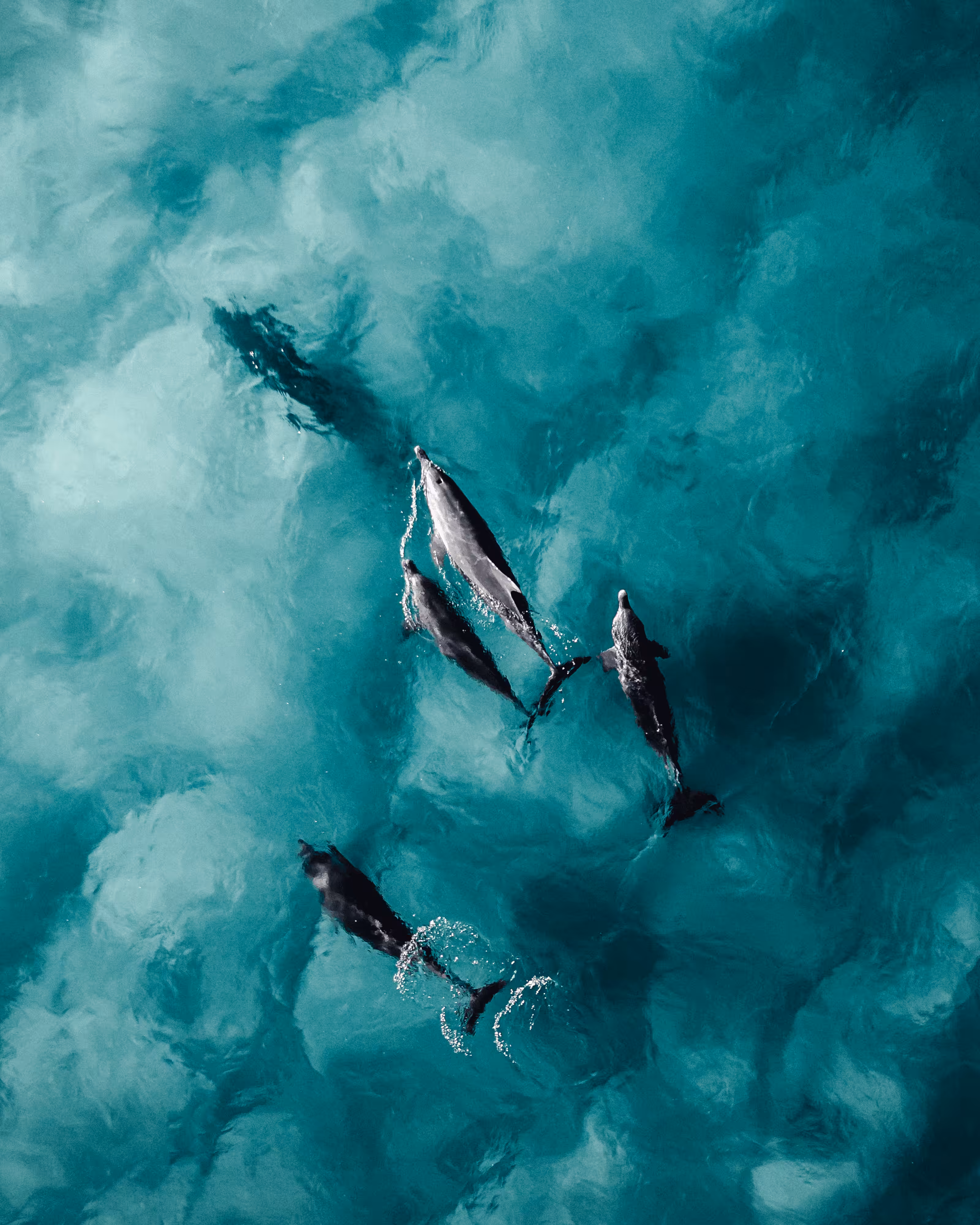 "Into The Blue" #36