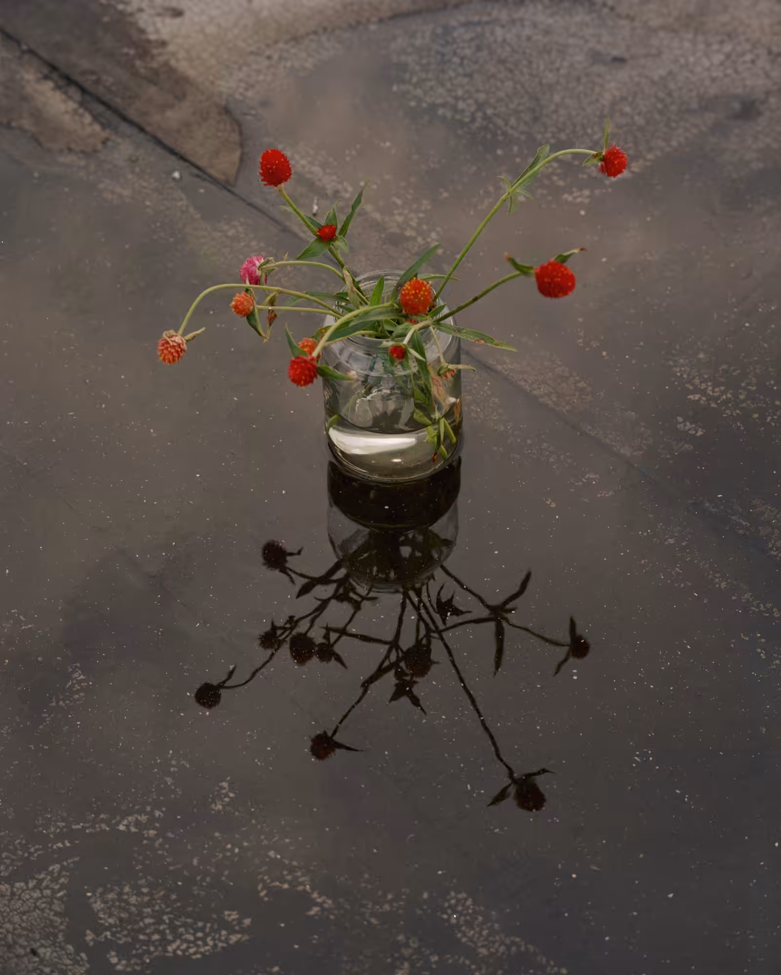 Untitled (Month 6)