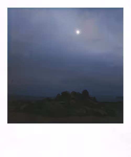 Polaroid land #8