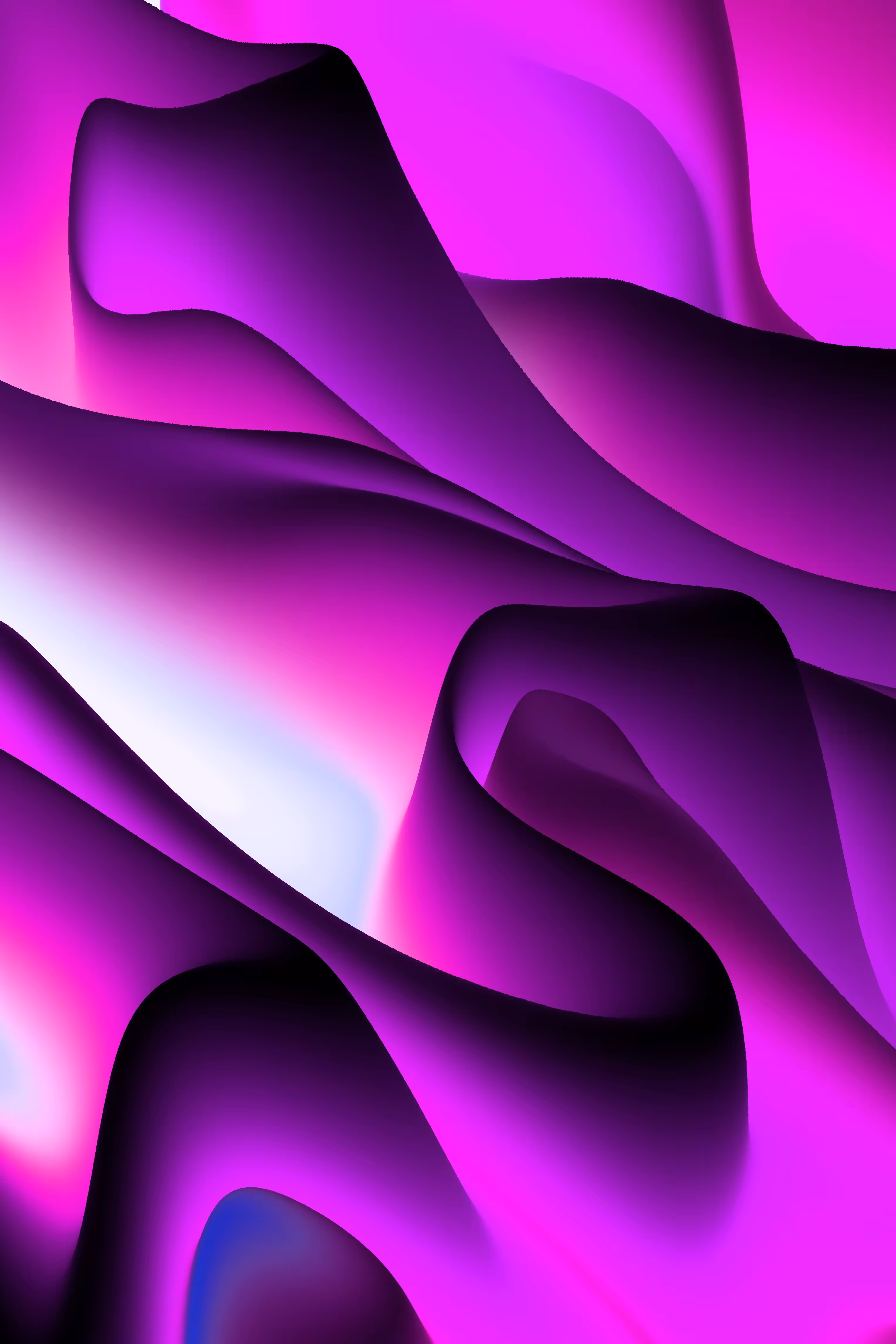 the beauty within