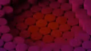2026 Everyday: 26114