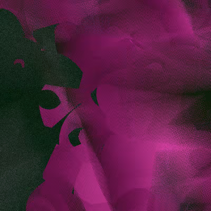 anomalia.12 #40