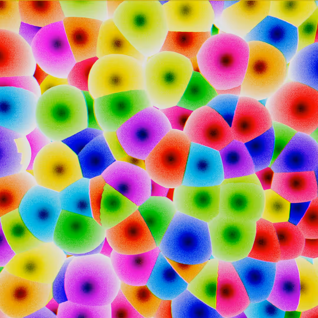 Cells #2