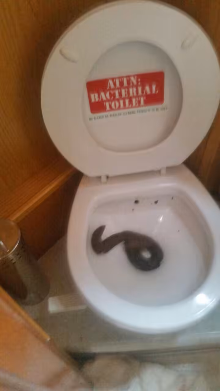 Literal Shit.