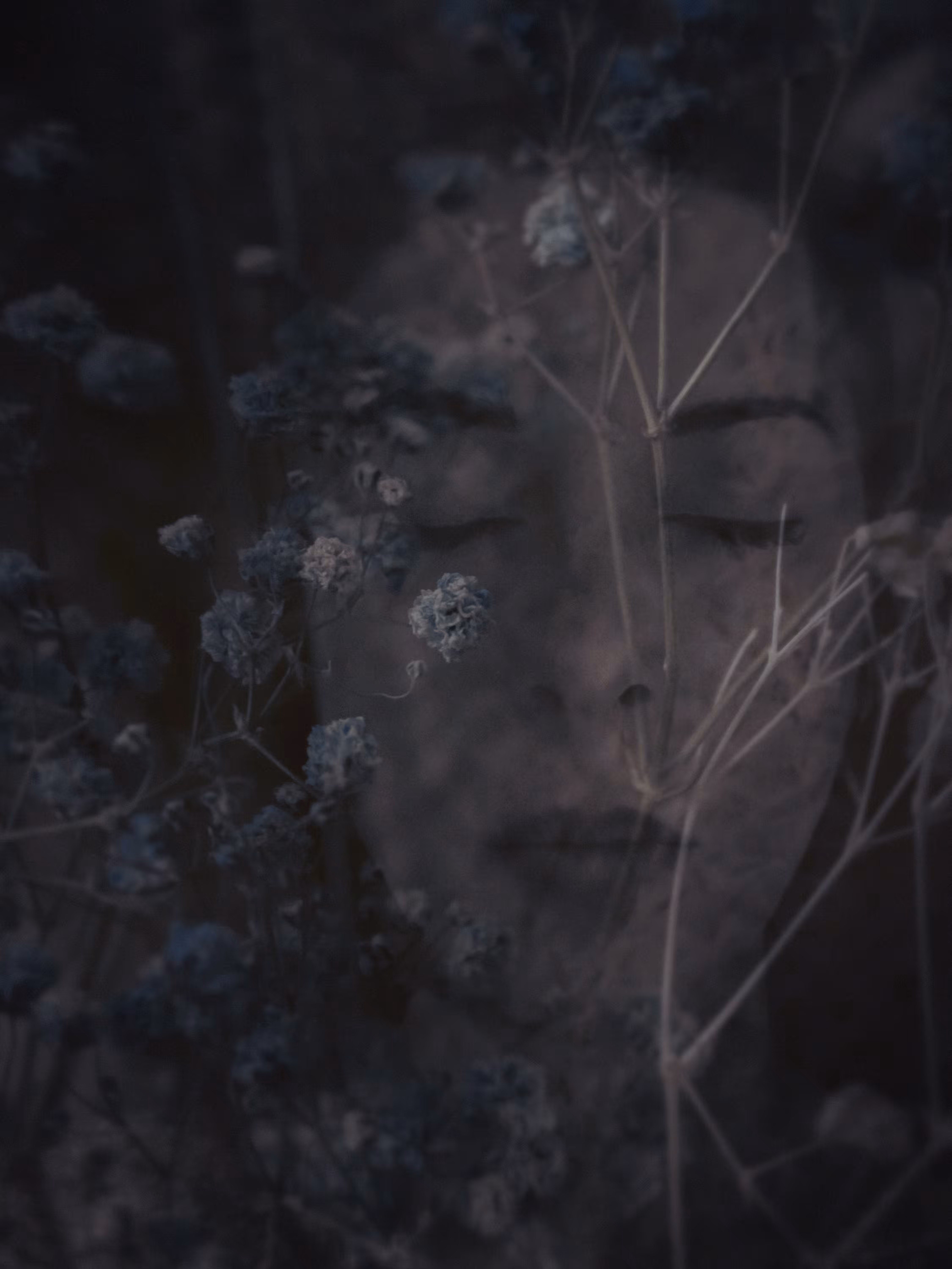 Withered and Forgotten