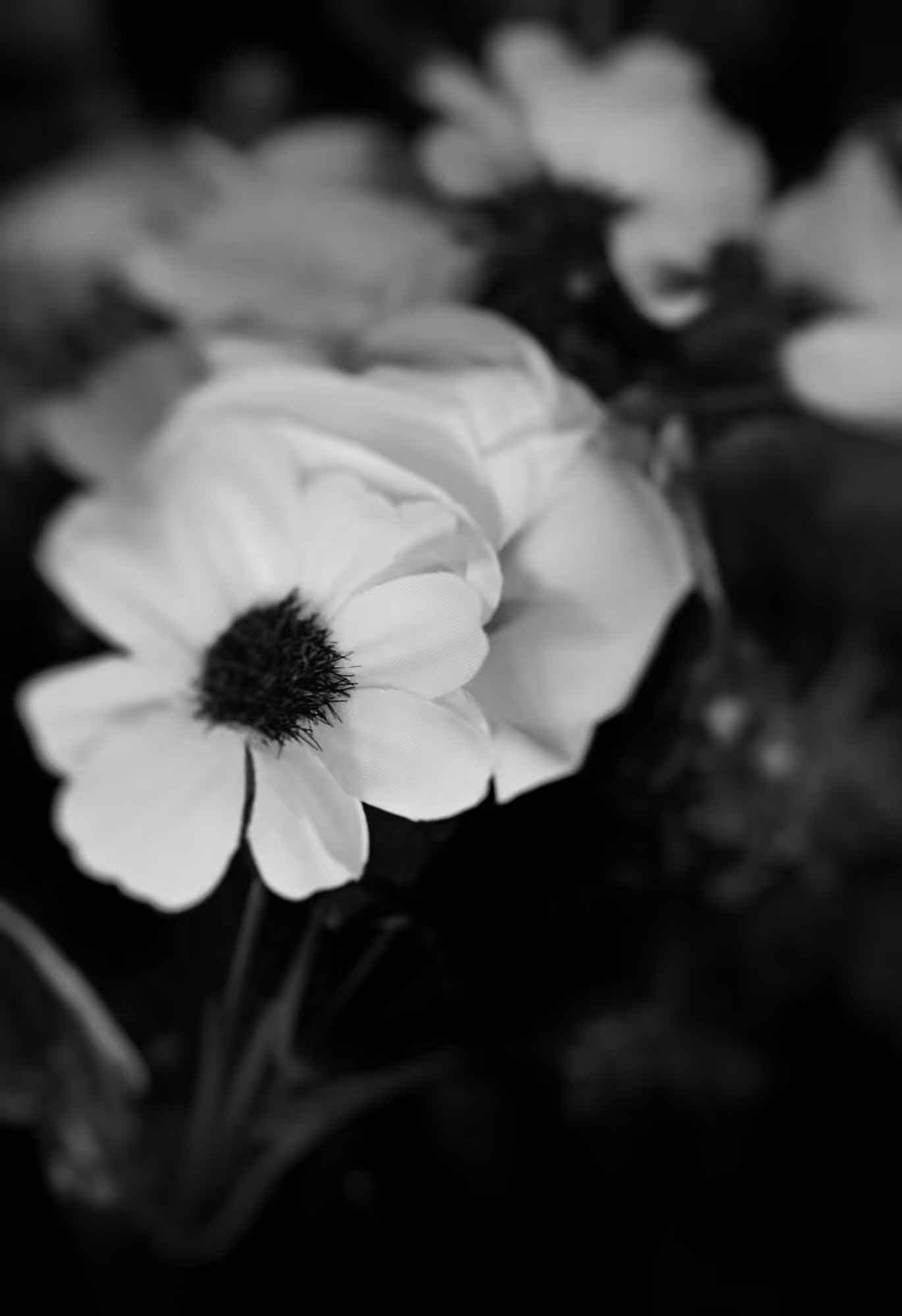 The mood_7