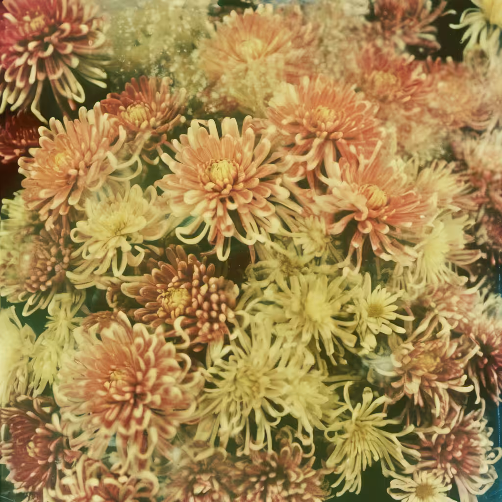 Bloom #18