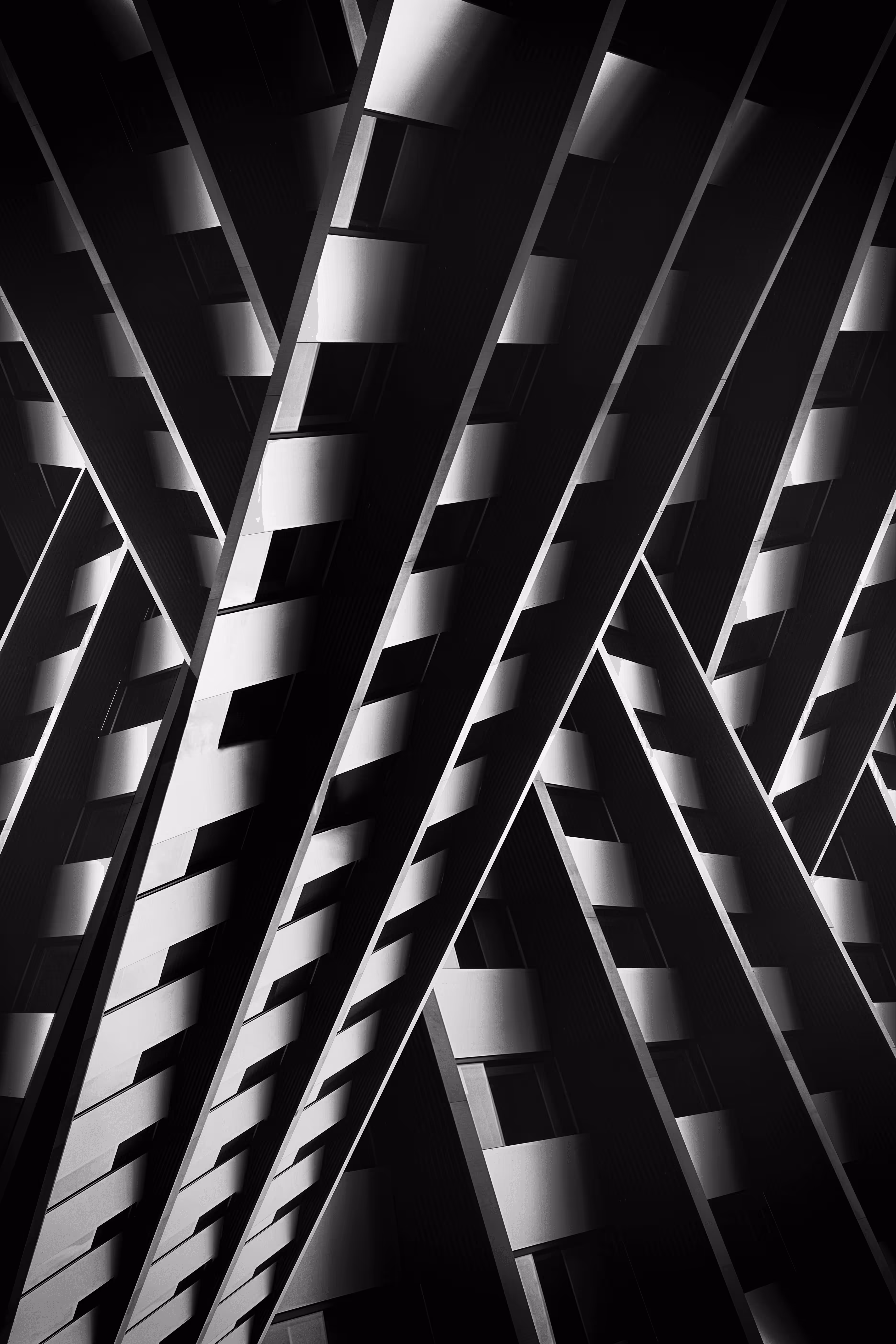 #32 Achromatic World | Shapeshifter