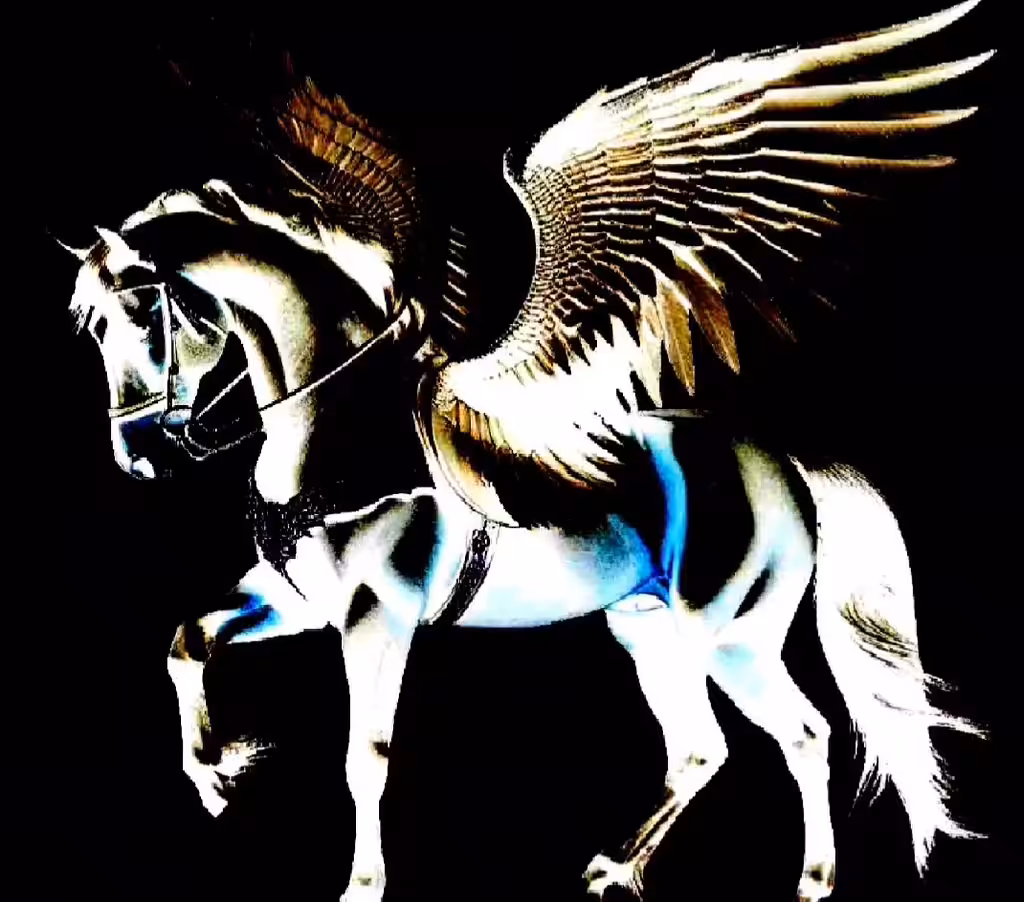 Black bird horse