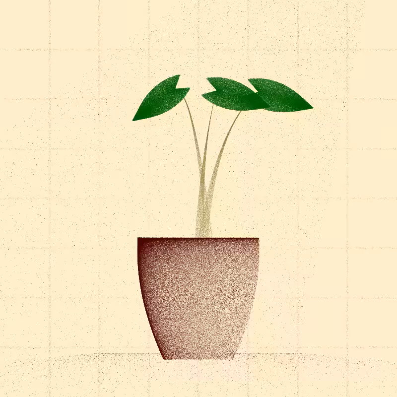 🌱 Potted & Printed #504