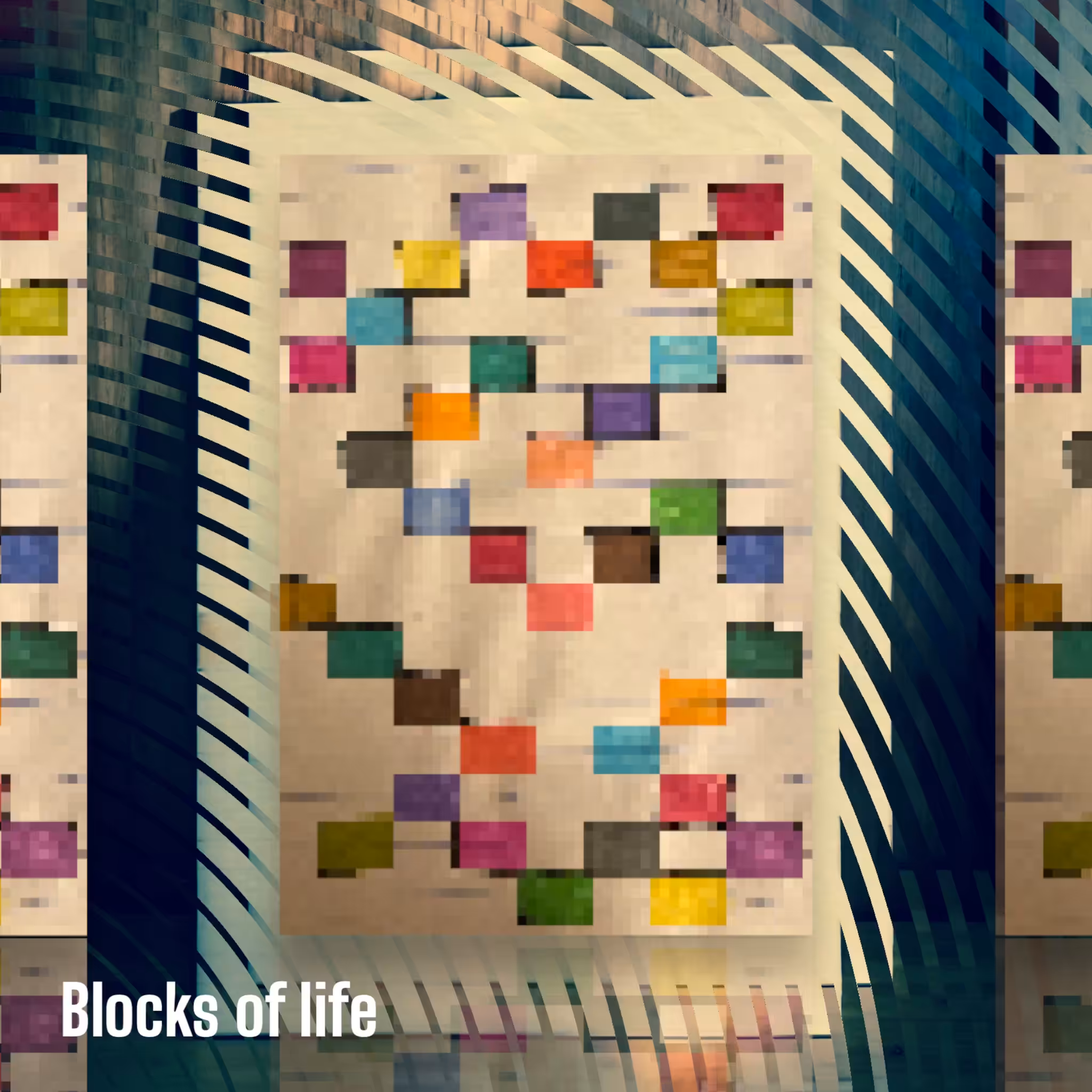 Blocks of Life - A Hybrid Reality 