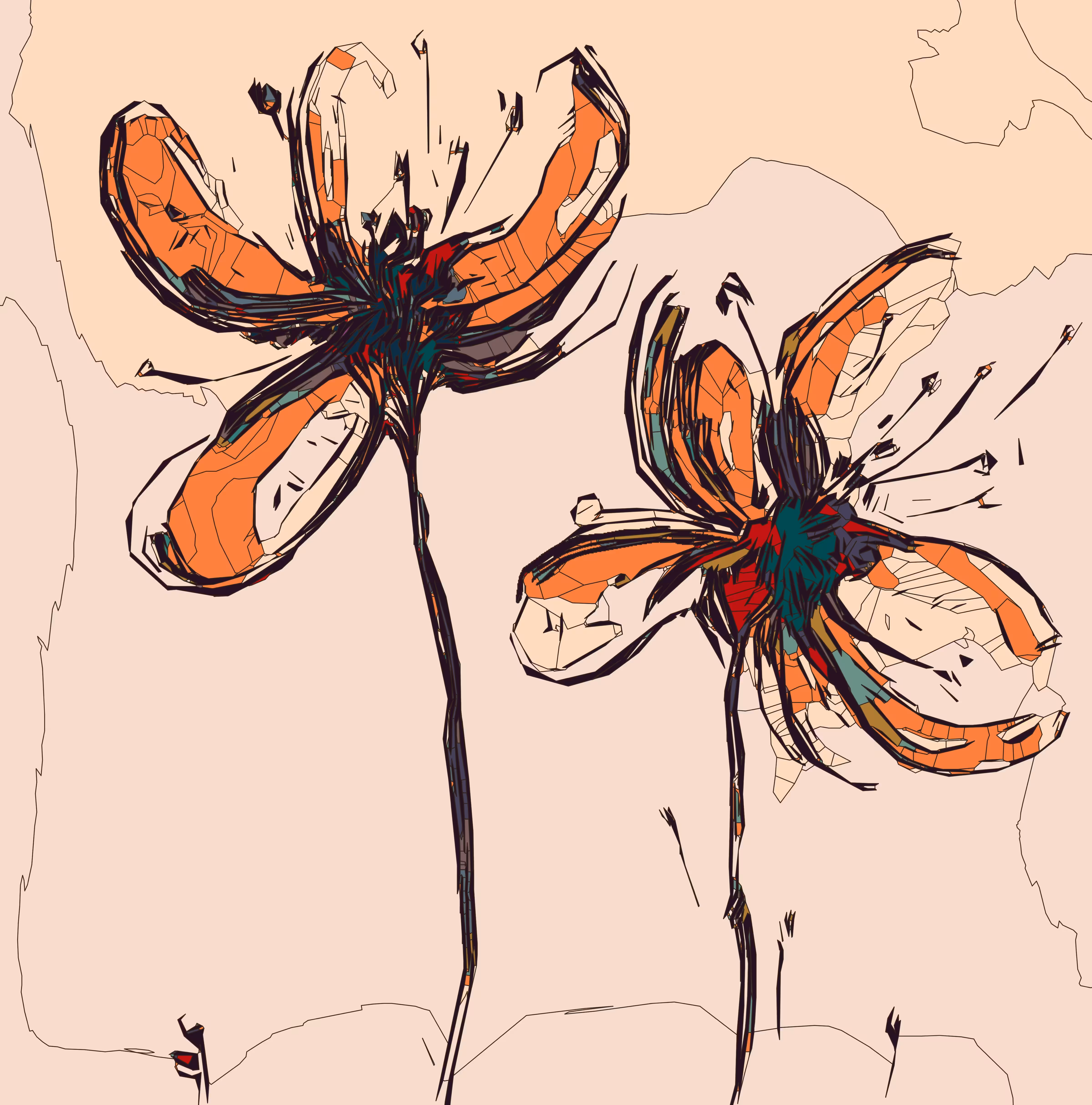 Aster