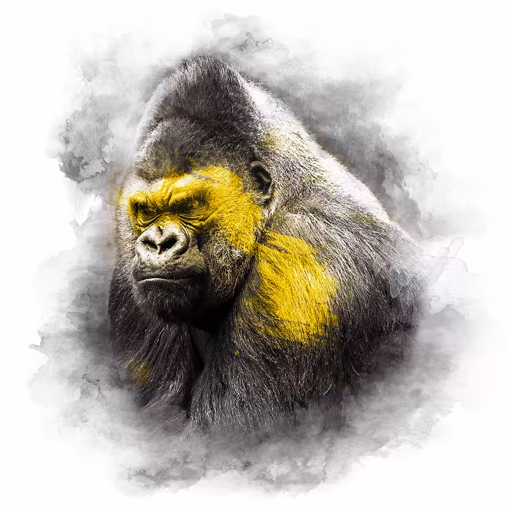 YELLOW SERIES - GORILLA
