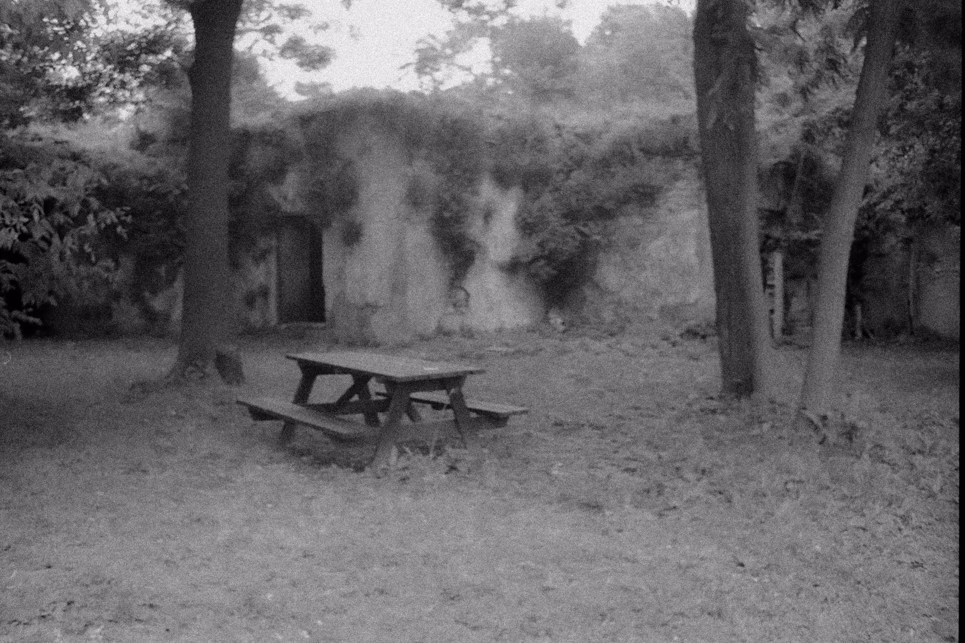 in the middle of desolation