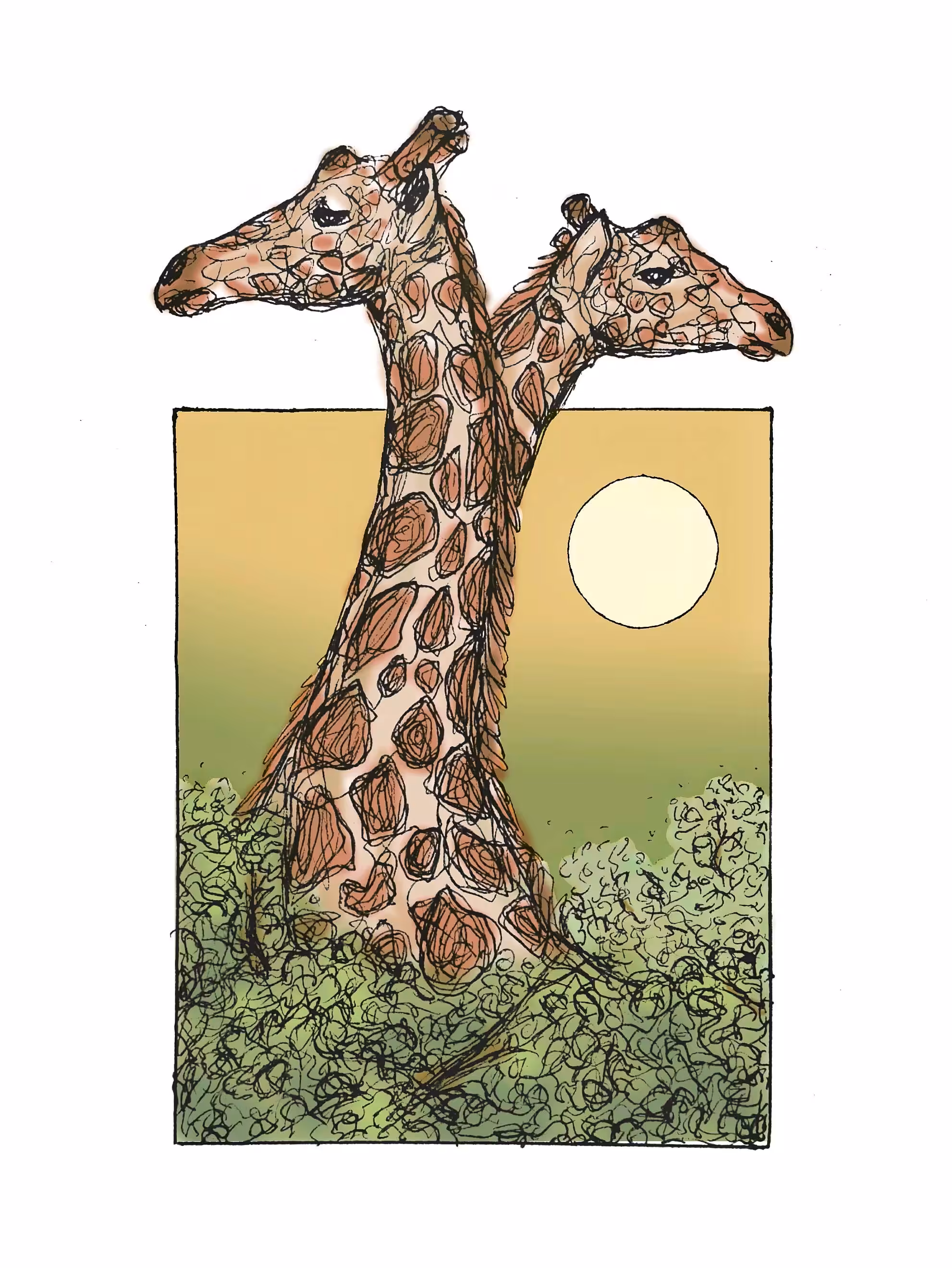 Giraffes