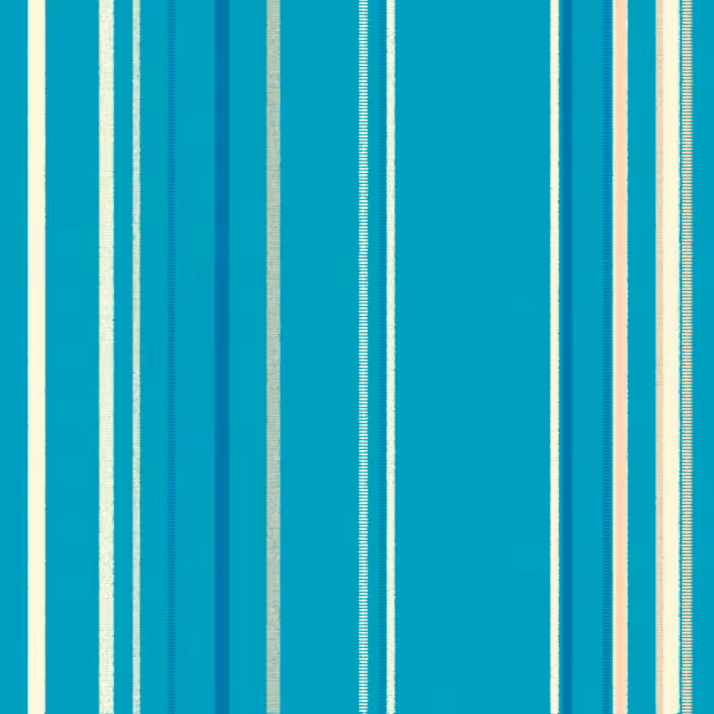 Stripes #58
