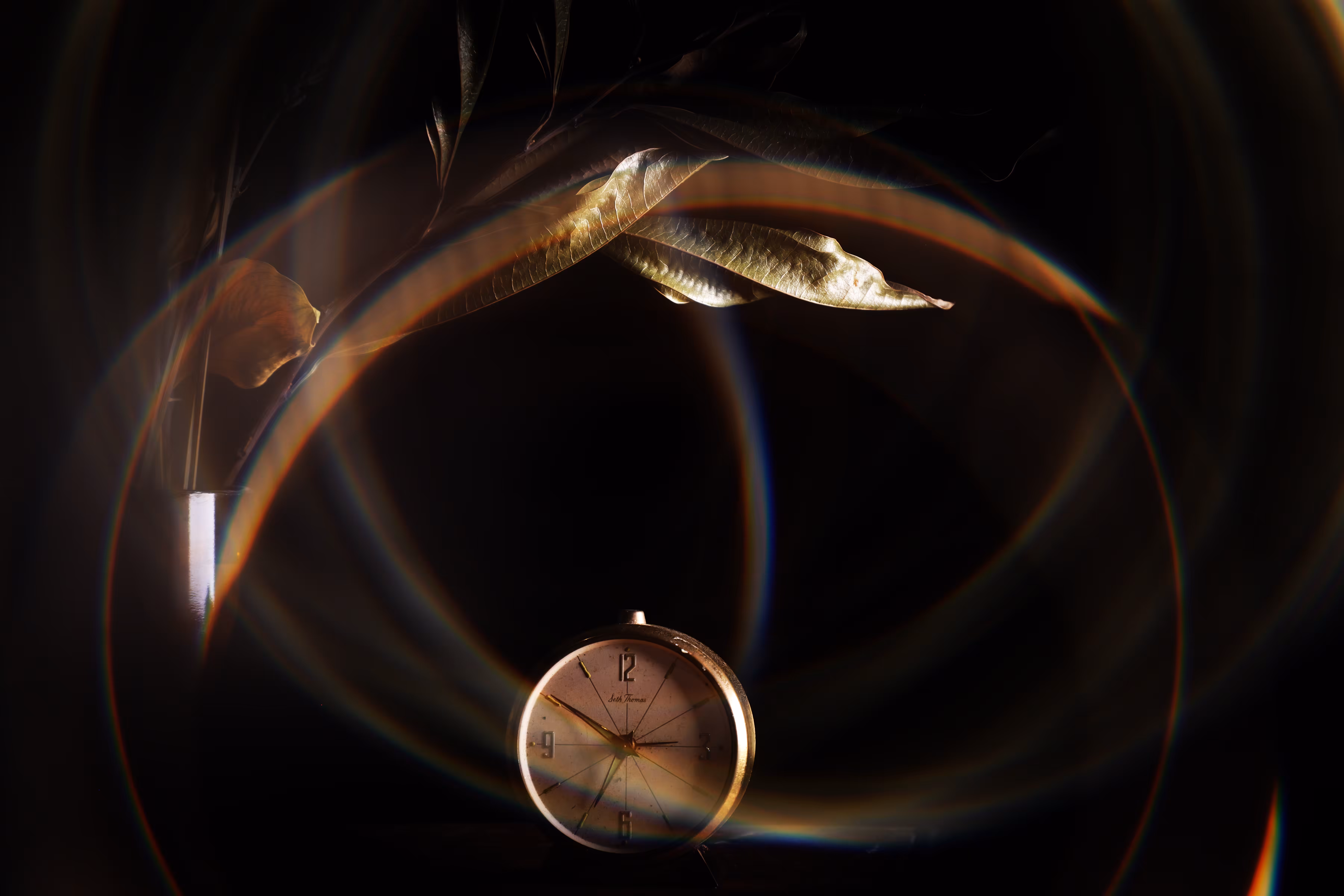 _the loop
