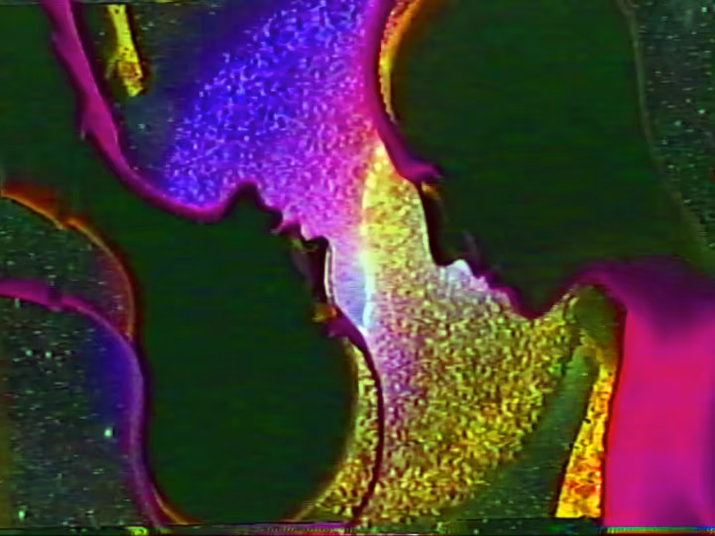 Segmentation of Oneness