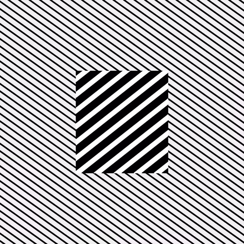 Chromatic dazzle #343