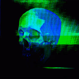 404SKULLS - 041