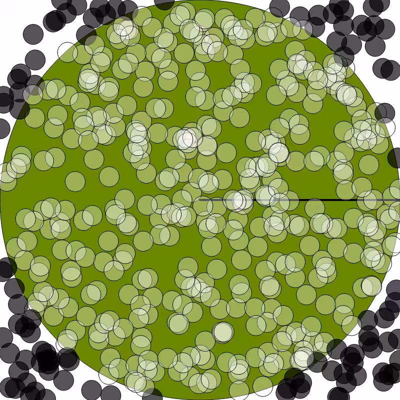 (π) #23