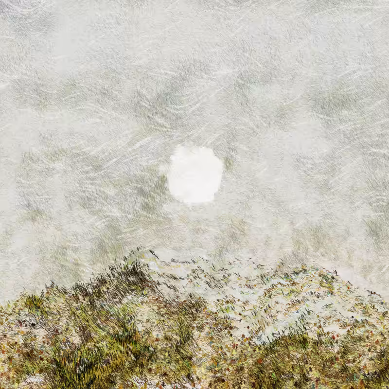 Cold Mountain #304