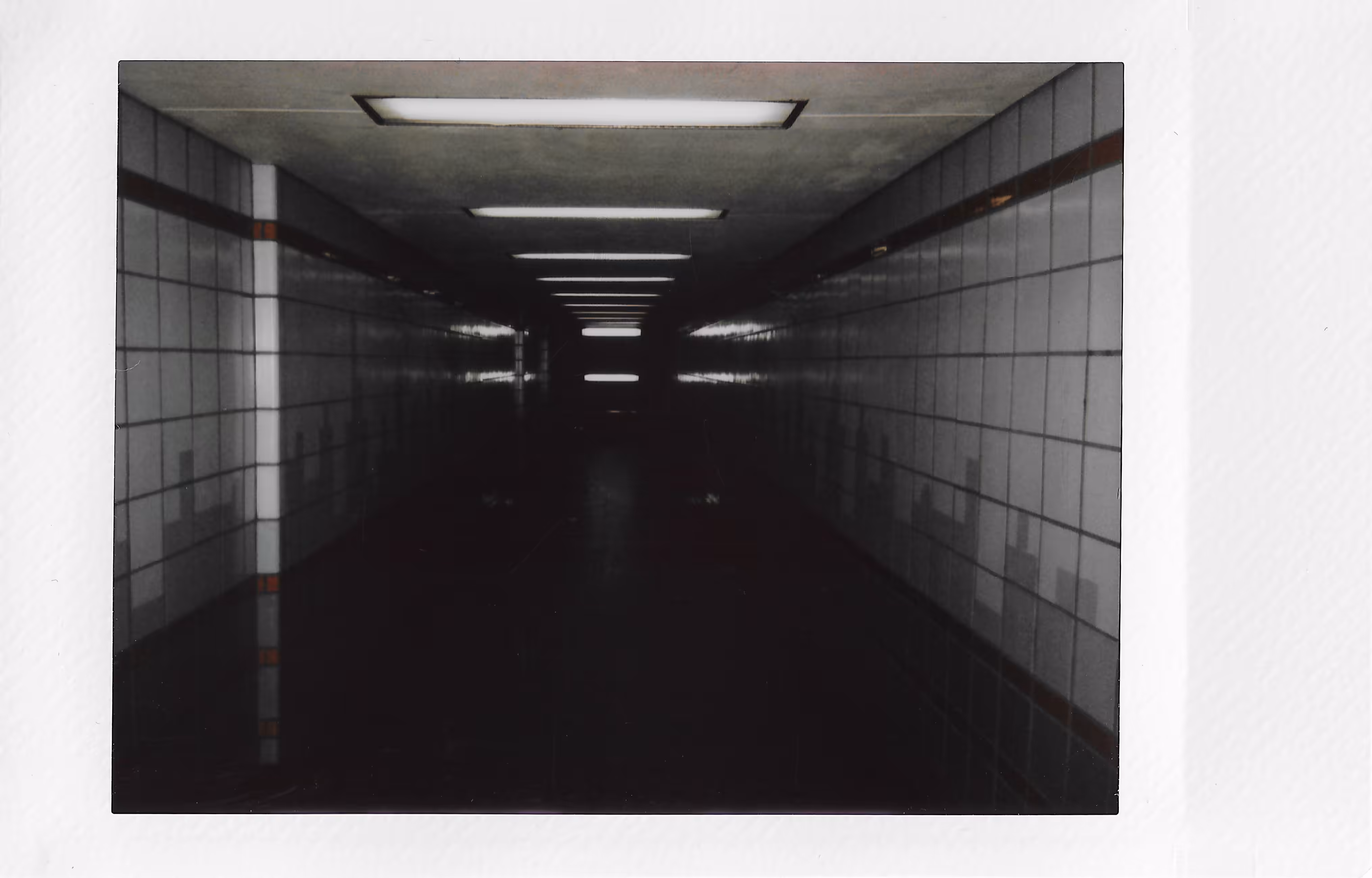 The Tunnel