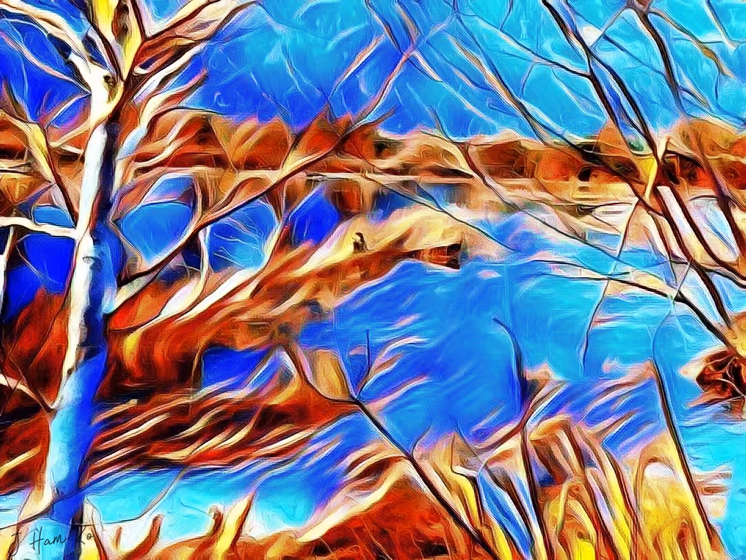 Winter Marsh Eight