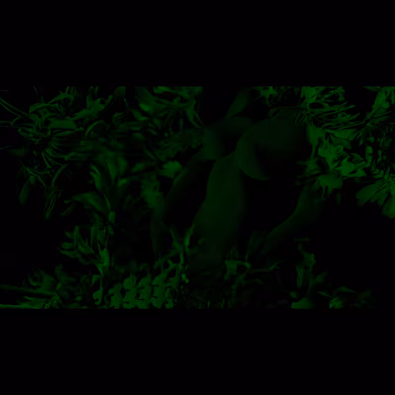 green feelings #2