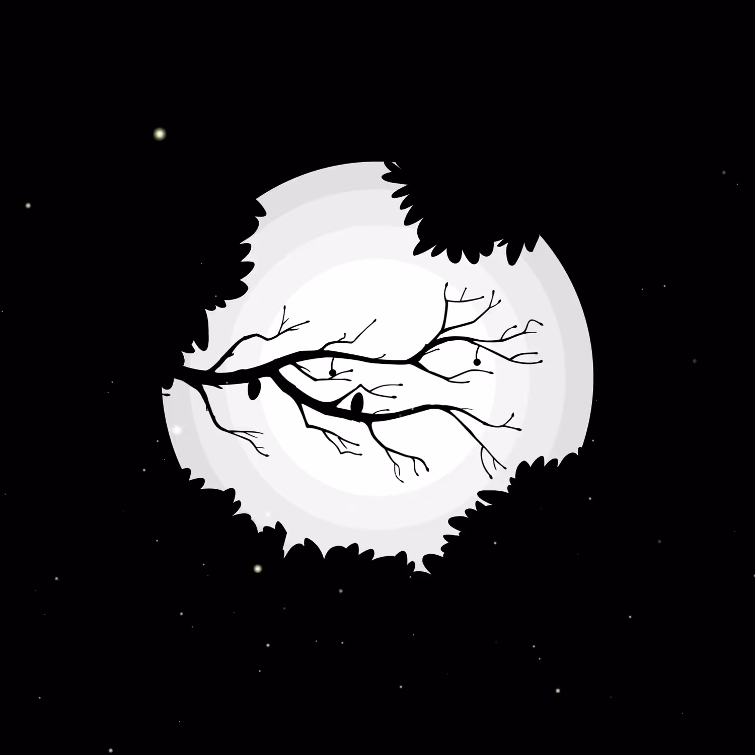 Black Bird