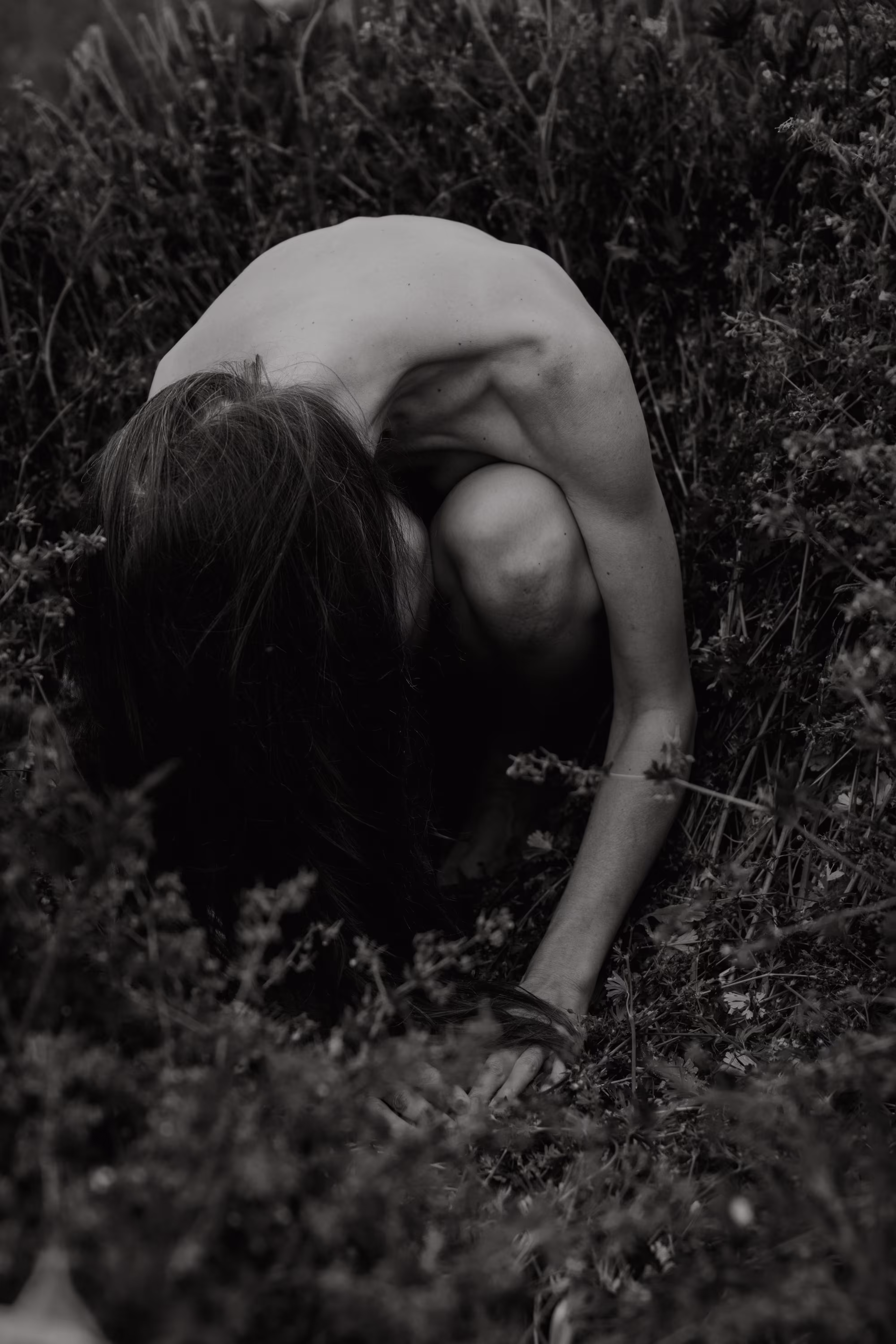 Feral heart