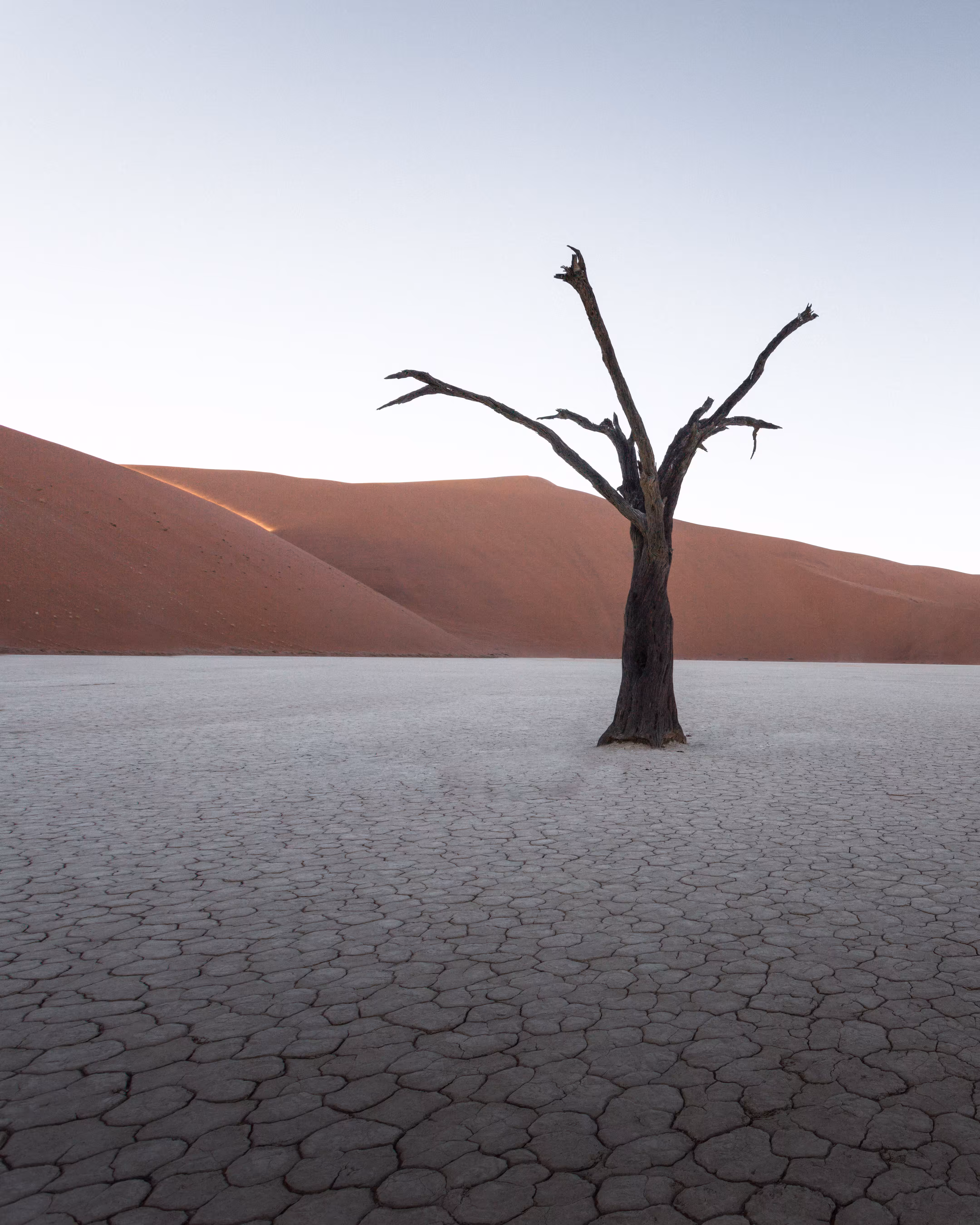 Drought #1/2
