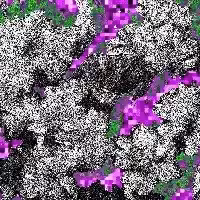beautiful scenery  : Stone Flowers #21