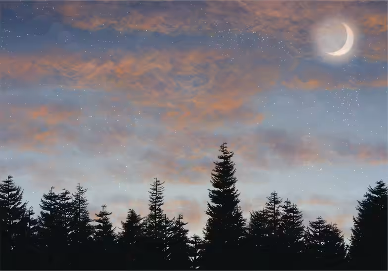 Skyscapes #56