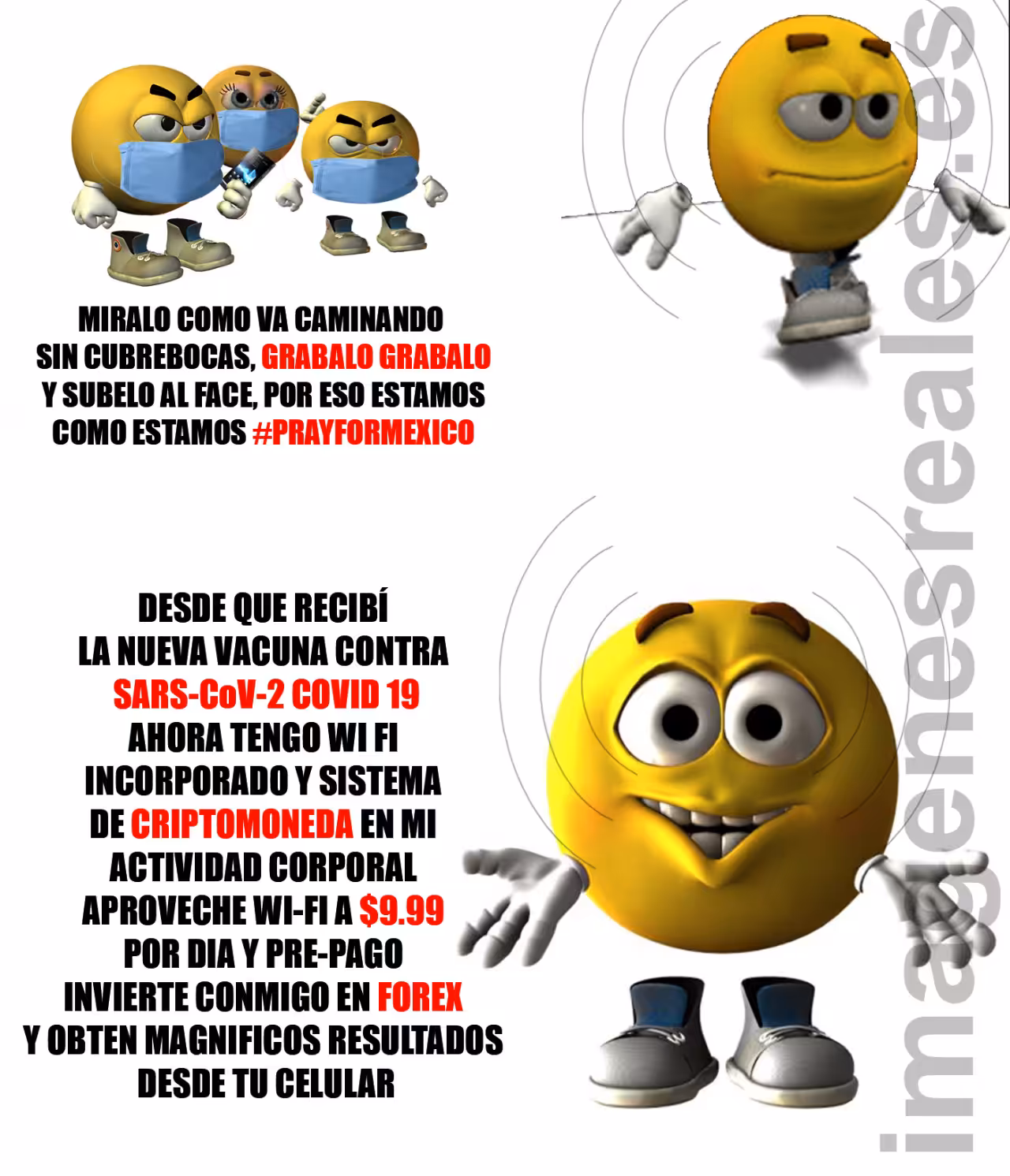 IMAGENES REALES #18