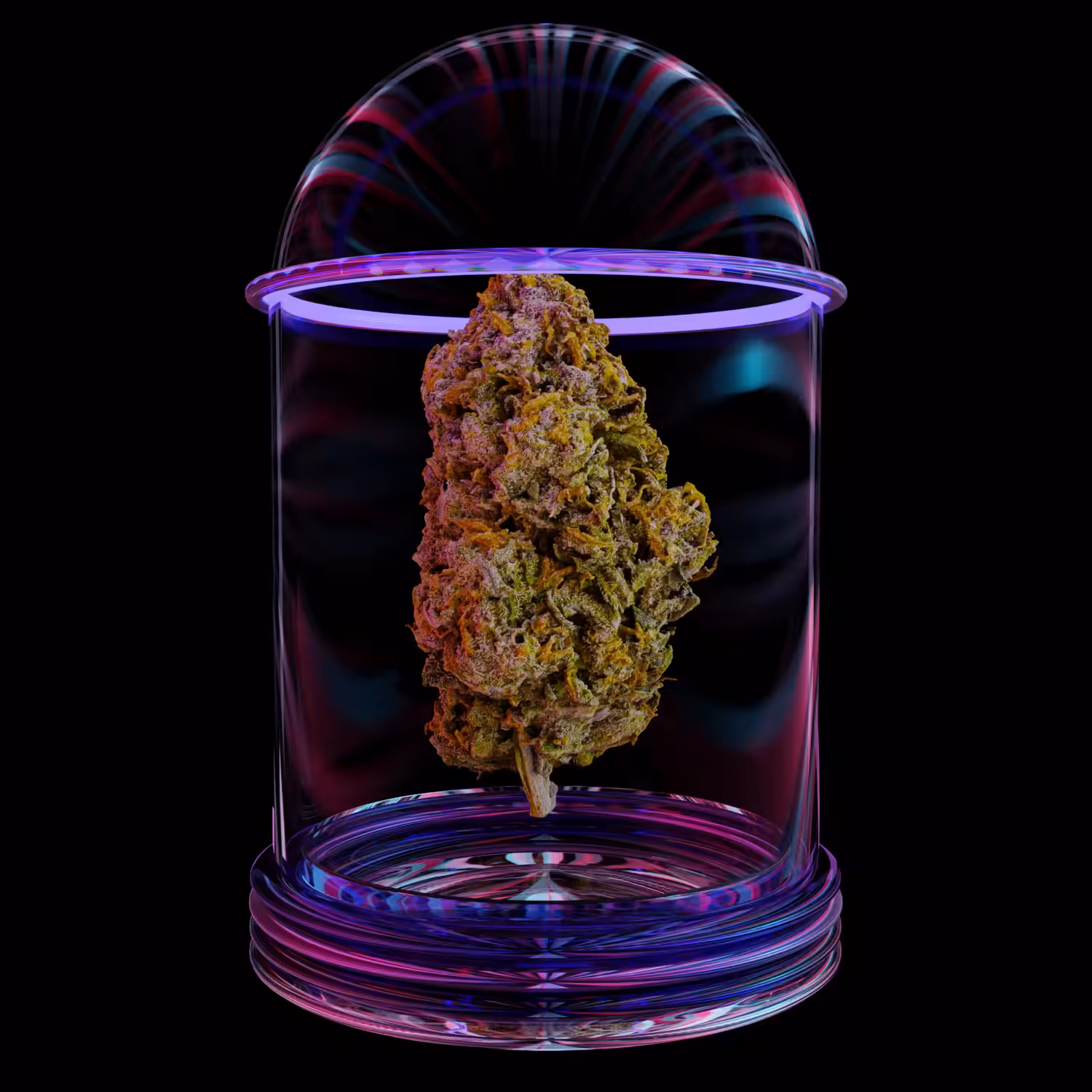 Amnesia #2 – Purple Glass