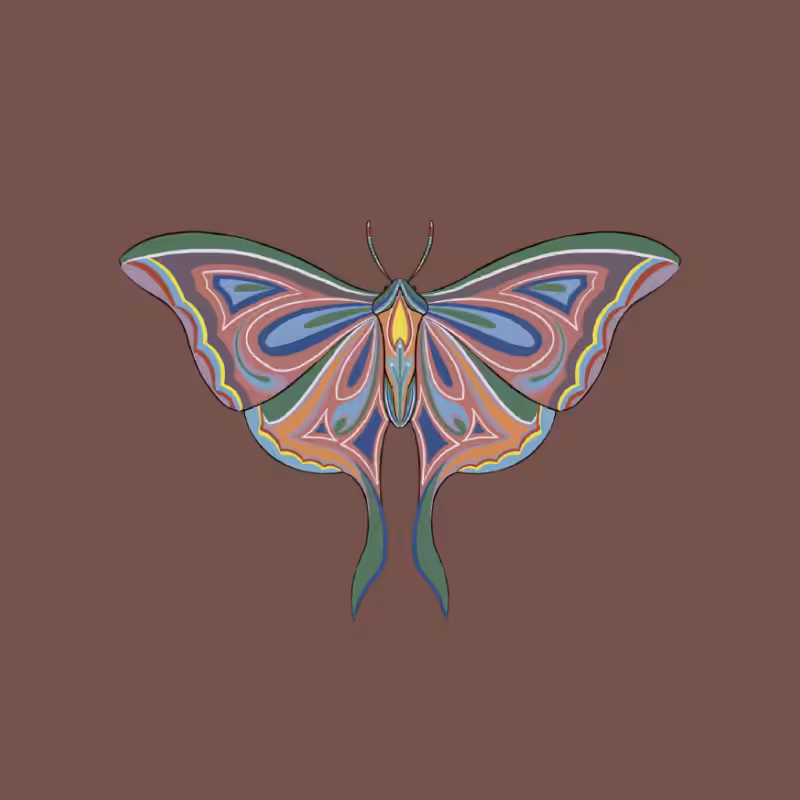 The Moth Experiment 2.0 P2 #2
