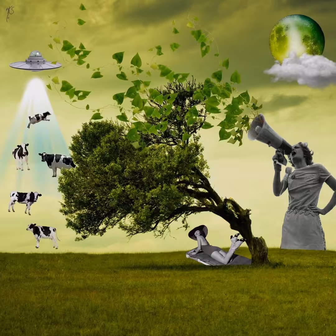 kcollage 16