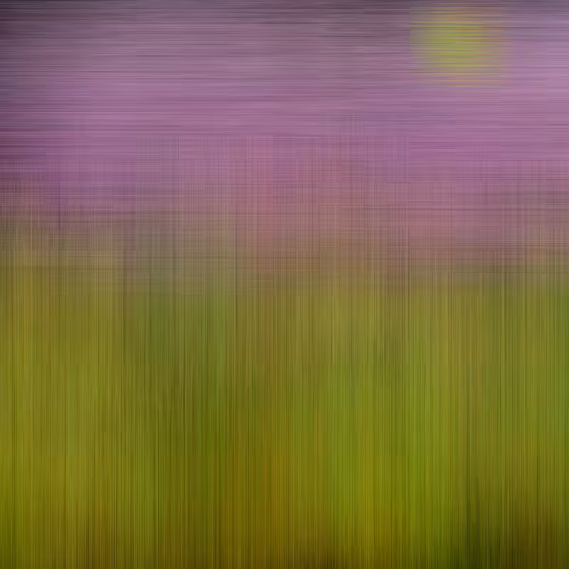 Hatch Field 003 #51