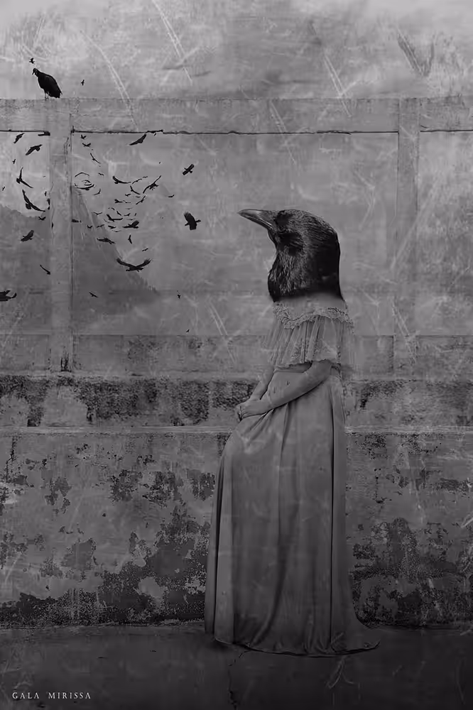 LADY CROW #3