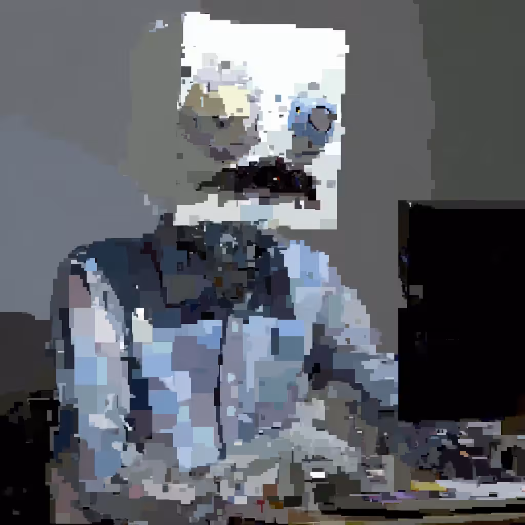𝔢𝔳𝔞𝔡𝔢𝔯 3343