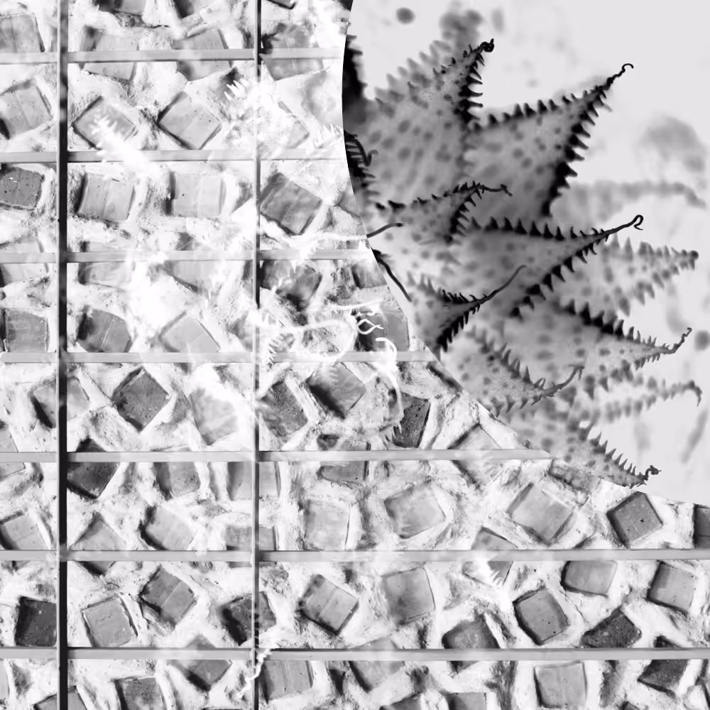 Subjective photography #1 #20