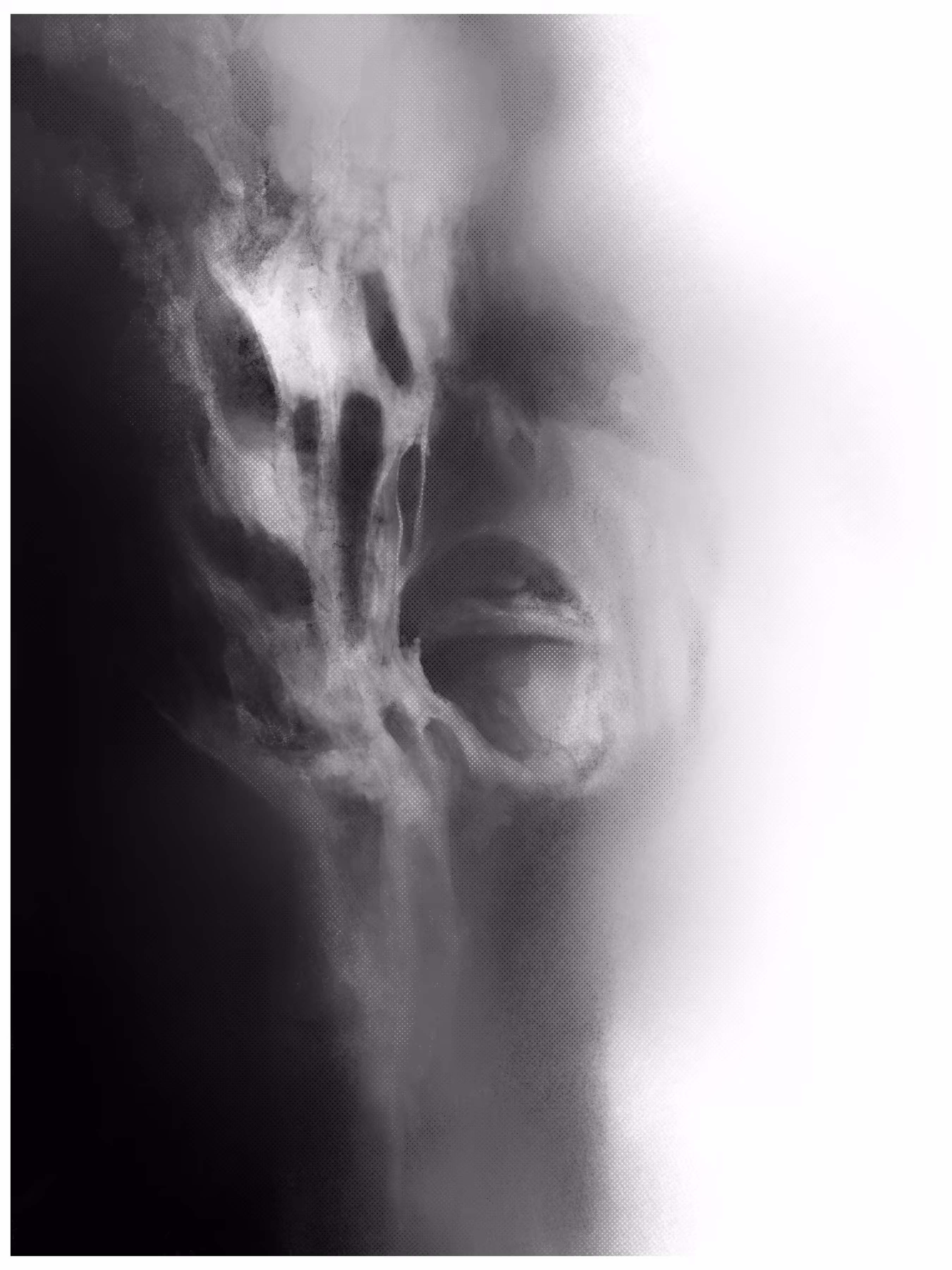 Monochrome: Ringkih