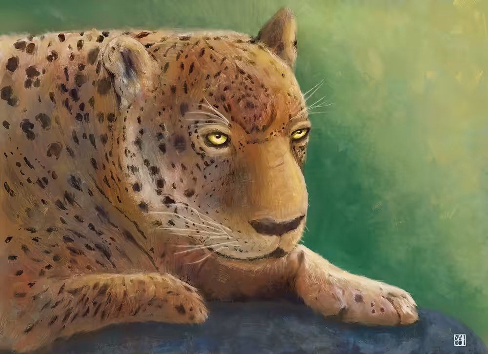 Jaguar
