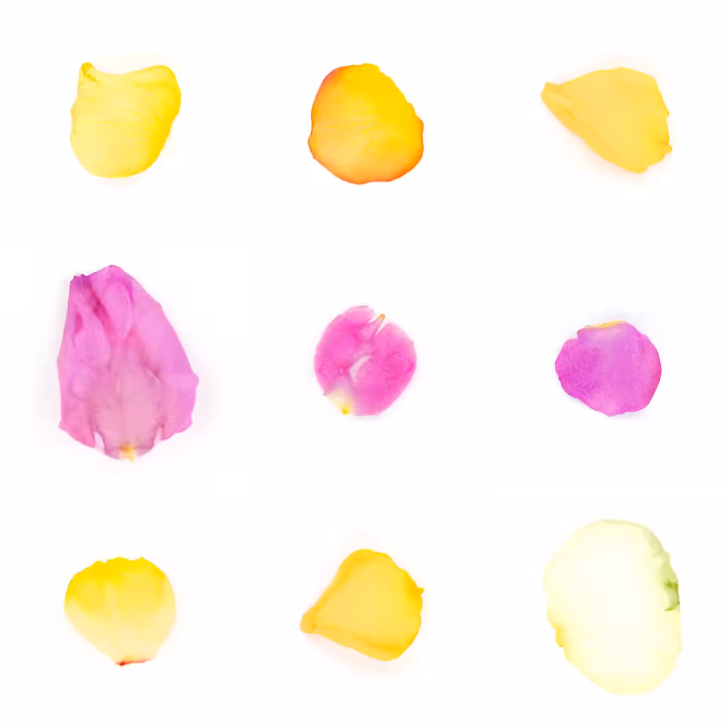 Infinite Petals 3x3#3282