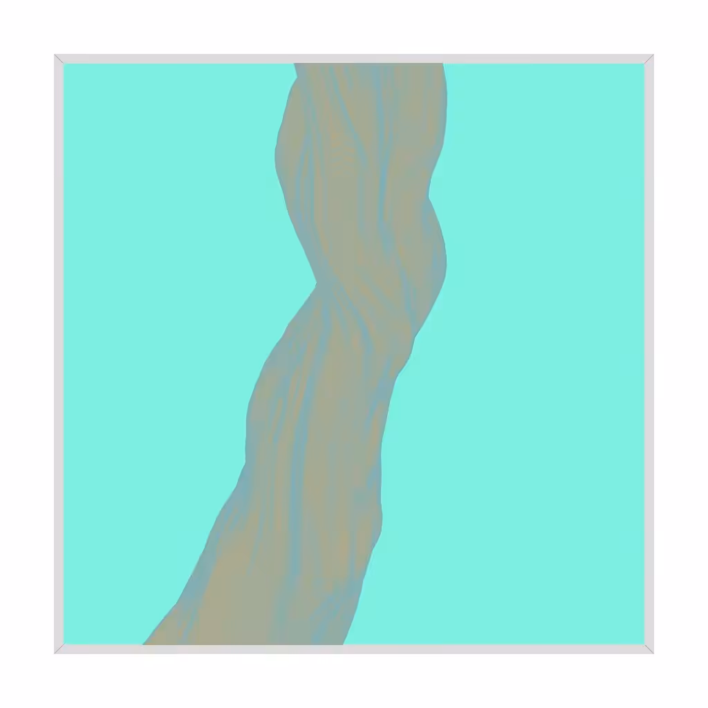 Framed Growth 300