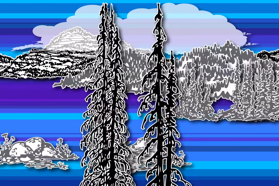 Wild Paper Road #1