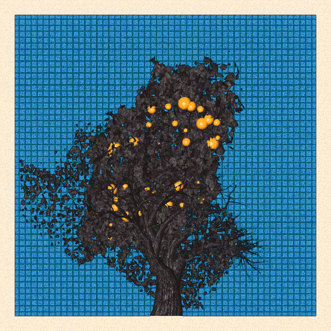 _argania[primaria] #9