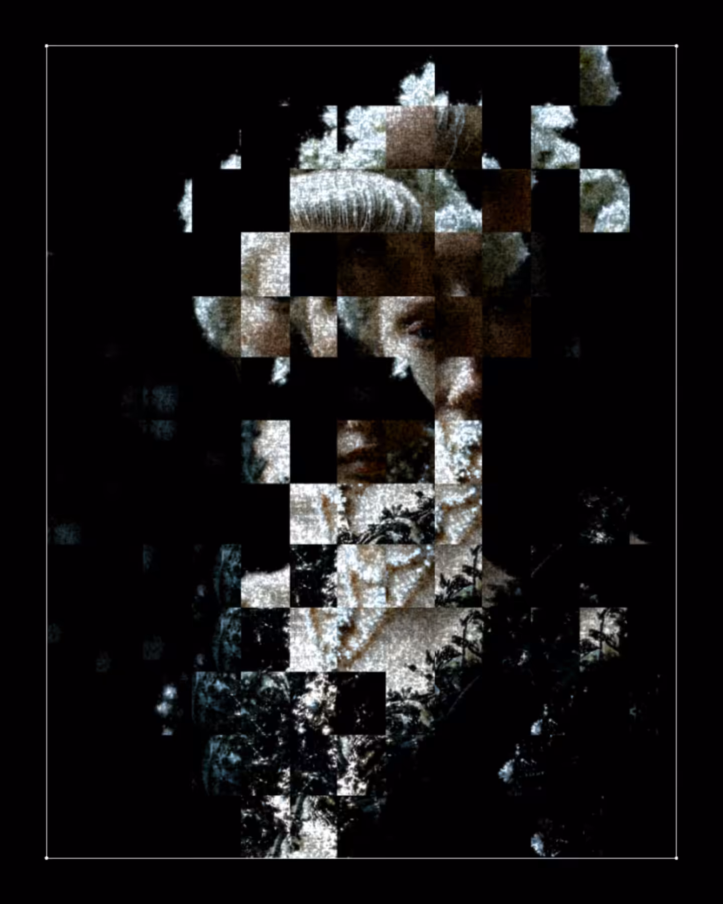 Expressio .029