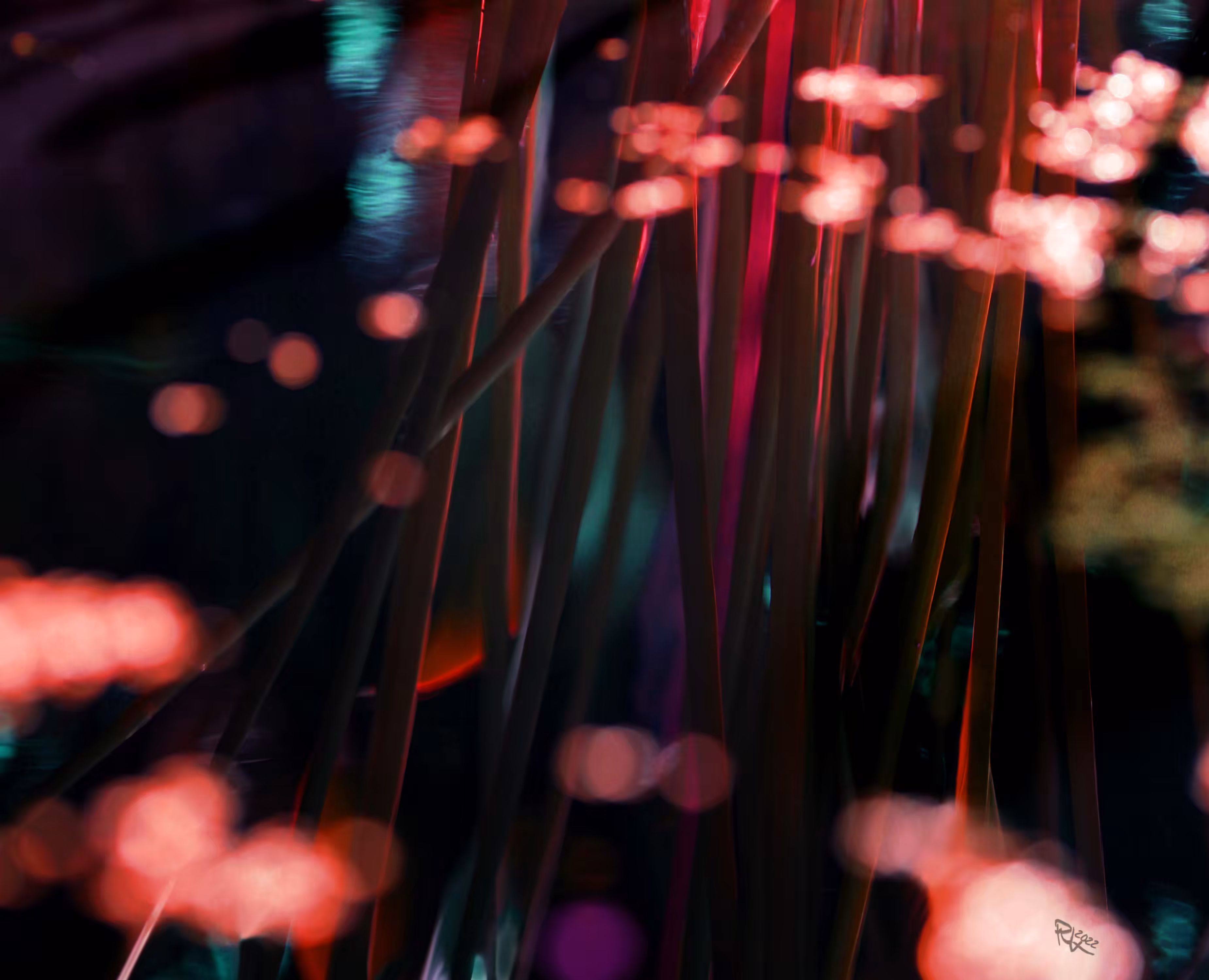 Dancing Lights